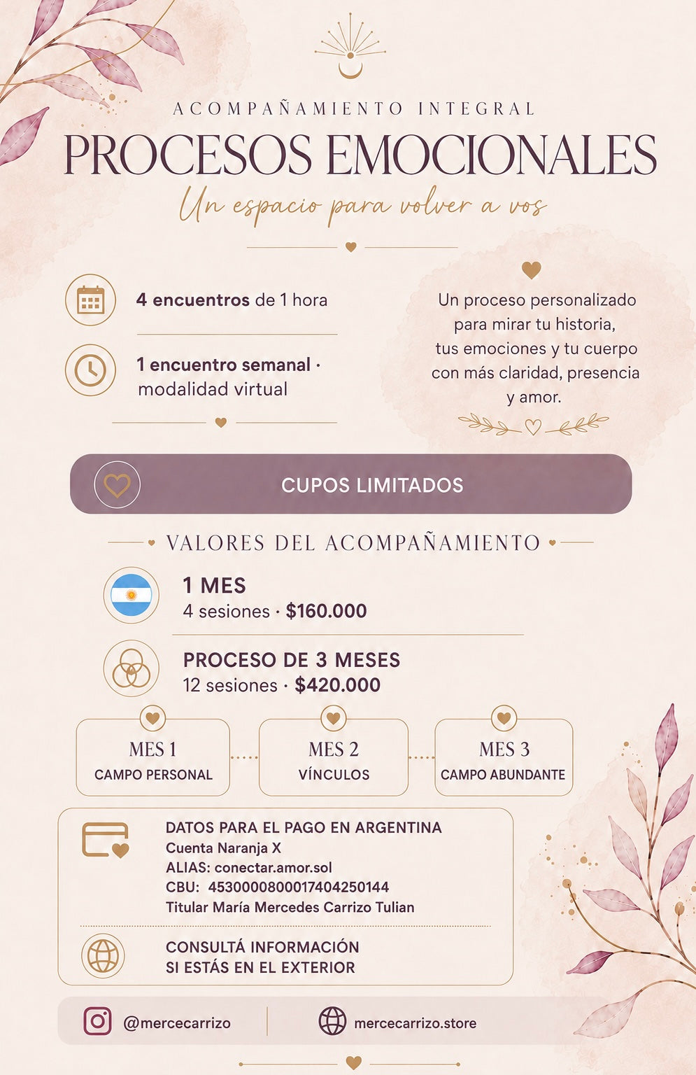 Acompañamiento Mensual