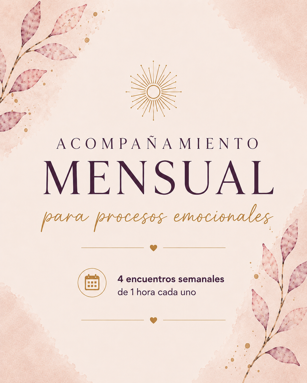 Acompañamiento Mensual